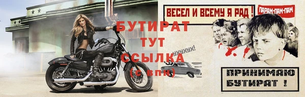 прущие грибы Болотное