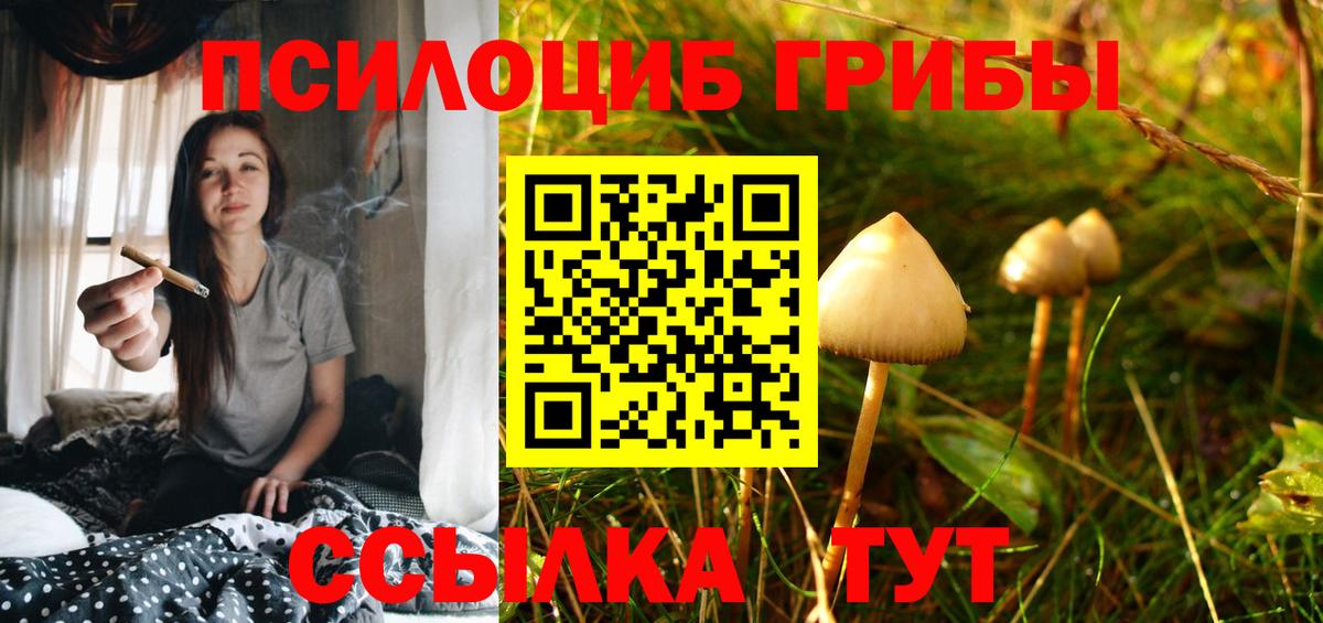 Галлюциногенные грибы ЛСД  Вход с VPN  Шали 