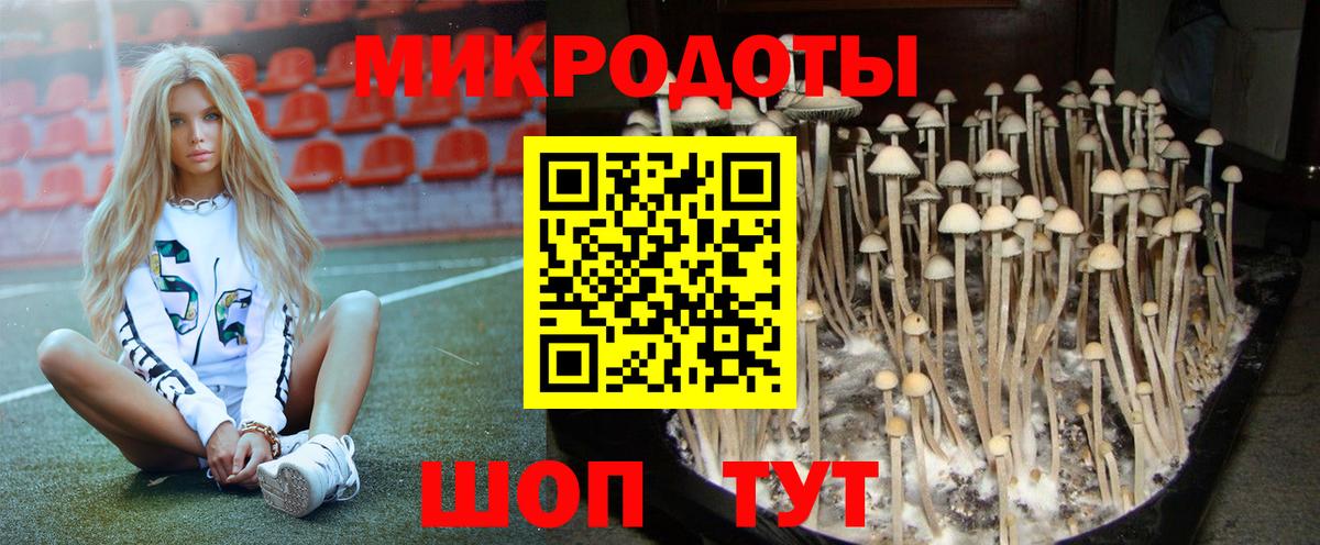 Галлюциногенные грибы Psilocybe  Шали 