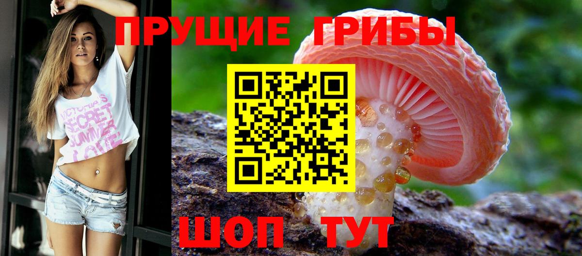 Псилоцибиновые грибы Psilocybe Шали